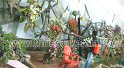 flower-show-2011 (15)